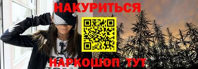 индика Кинель