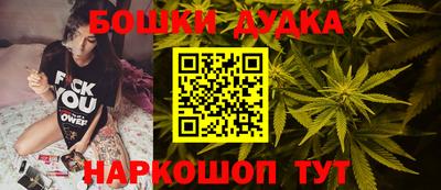индика Кинель