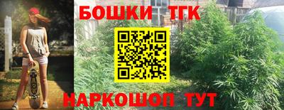 гидра Кимры