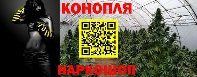 индика Кинель