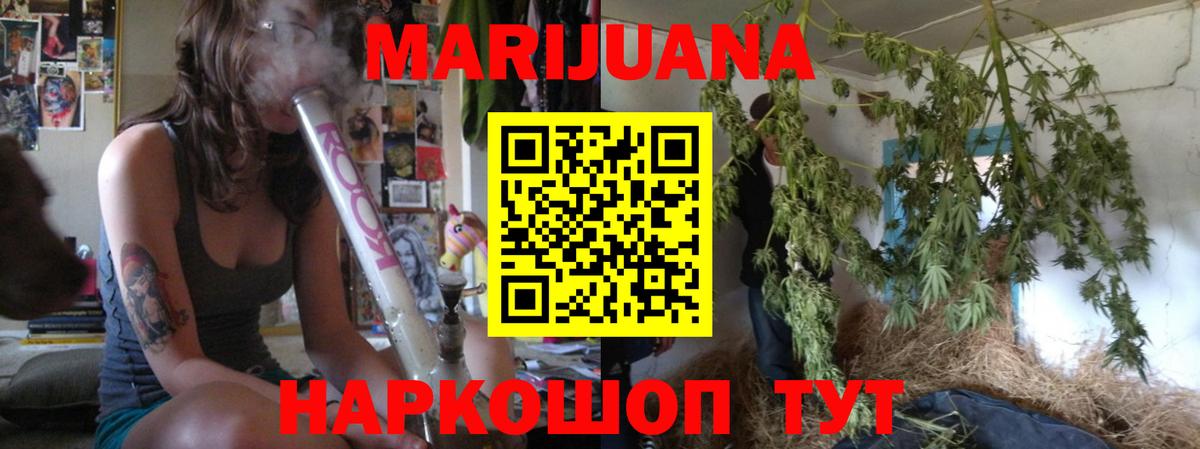 Шишки марихуана семена Королёв